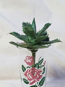 retro rose glass cup